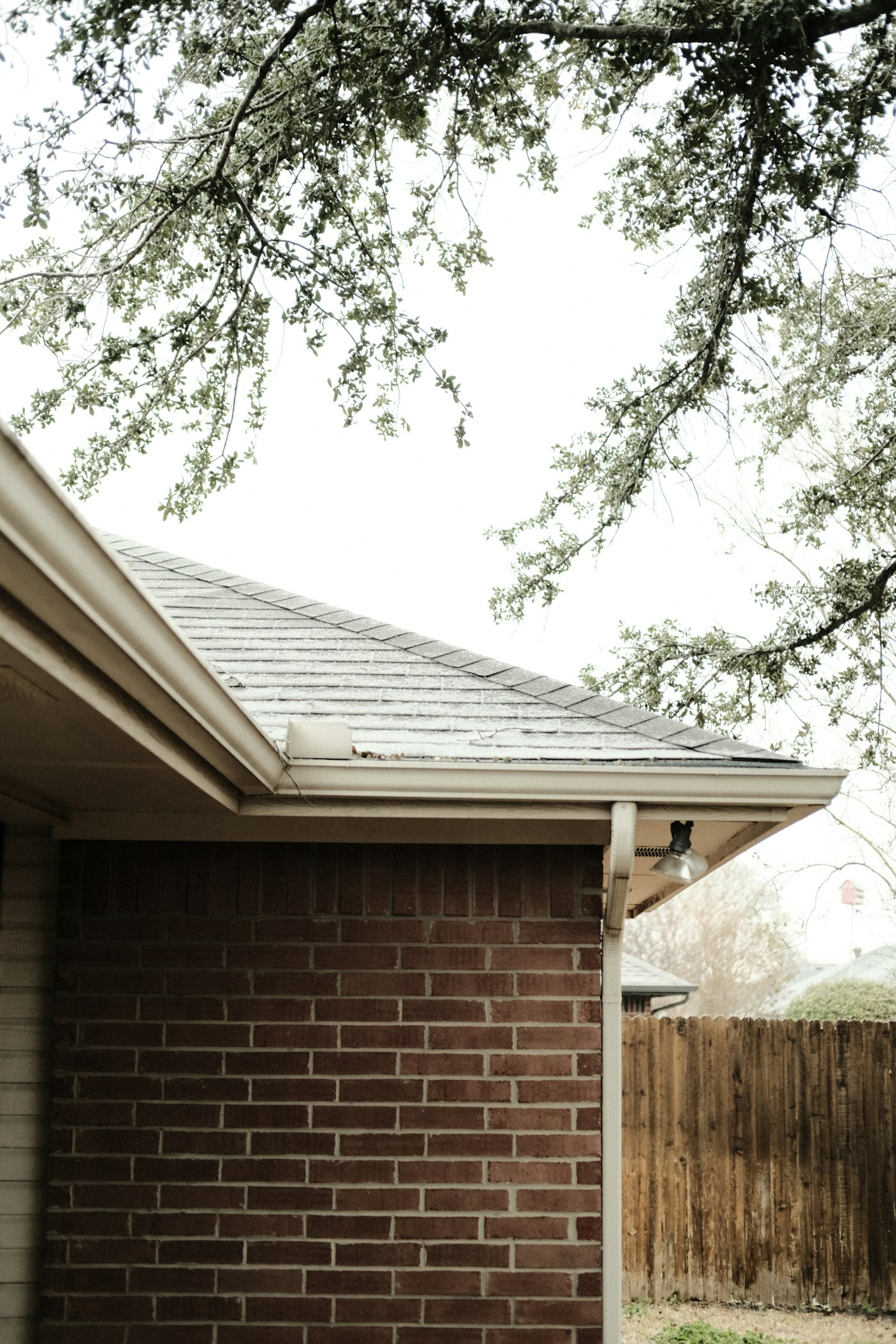 Clean residential gutter beneath overhanging tree branches