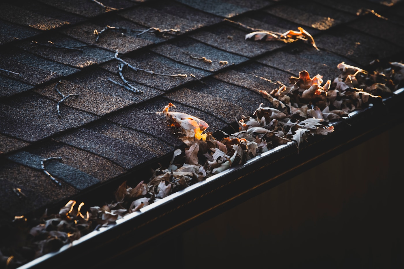Dry leaves and debris collected in a residential rain gutter
